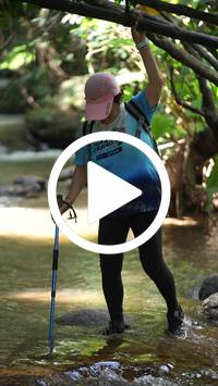 BIB:  <button type="button" onclick="openModal(27809175)" class="btn btn-primary btn-sm float-right" data-toggle="modal" data-target=".modal-high-quality">
                <i class="fa fa-download"></i> Download
                </button>